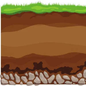 Bí Quyết Chọn Đất Trồng Cây Cảnh Trong Chậu – Cây Luôn Xanh Tốt, Ít Sâu Bệnh