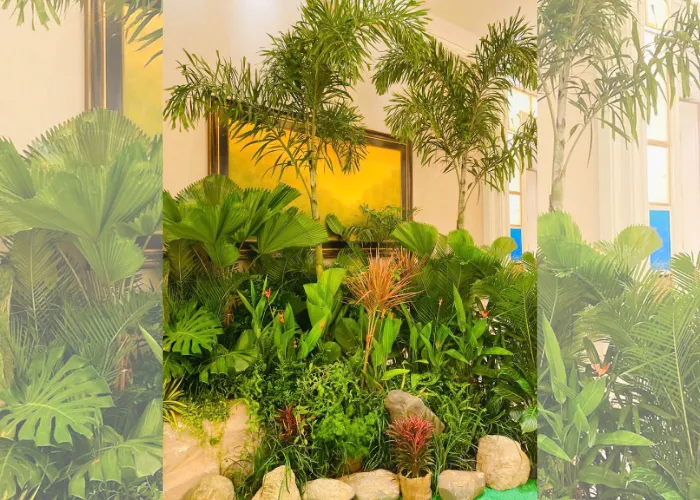 Hình ảnh sự kiện trang trí cây xanh của ONGREEN tại The Grand Hồ Tràm - Văn Lang University