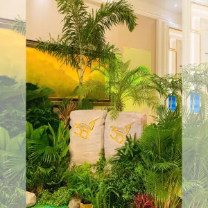 Trang Trí Sự Kiện Bằng Cây Xanh Thật: Xu Hướng Gần Gũi Thiên Nhiên 2025