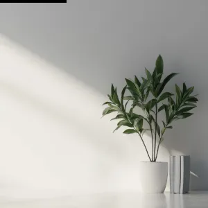 Tại sao cây trong nhà dễ chết hơn cây ngoài trời?