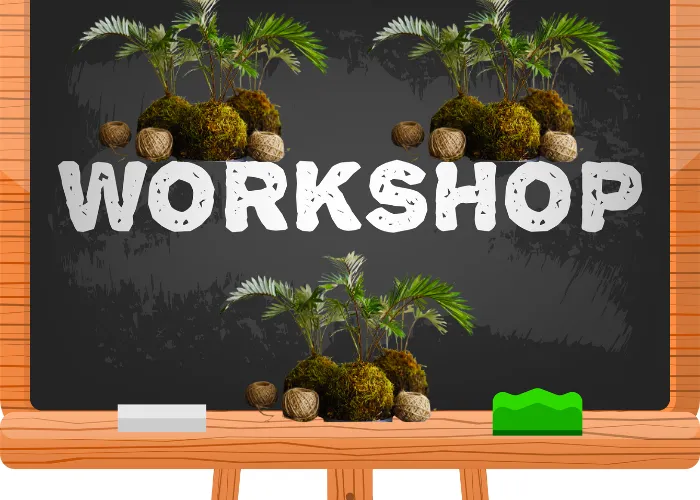Đôi Nét Về Workshop Kokedama Và Ý Nghĩa Cùng 4 Giá Trị Cộng Đồng