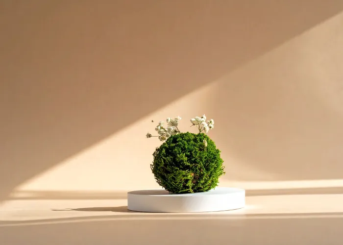 Đôi Nét Về Workshop Kokedama Và Ý Nghĩa Cùng 4 Giá Trị Cộng Đồng