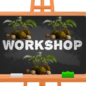 Đôi Nét Về Workshop Kokedama Và Ý Nghĩa Cùng 4 Giá Trị Cộng Đồng