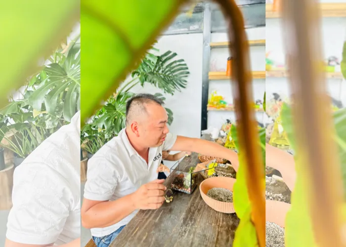 Trải Nghiệm Workshop Terrarium & Kokedama Ngay Tại Thủ Đức