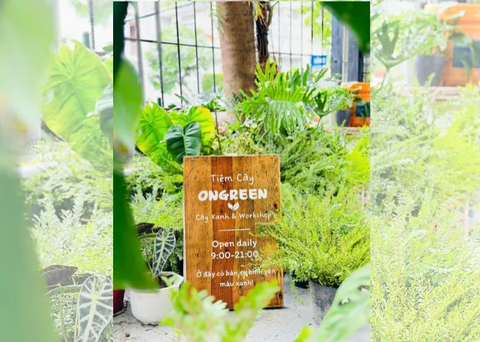 Trải Nghiệm Workshop Terrarium & Kokedama Ngay Tại Thủ Đức