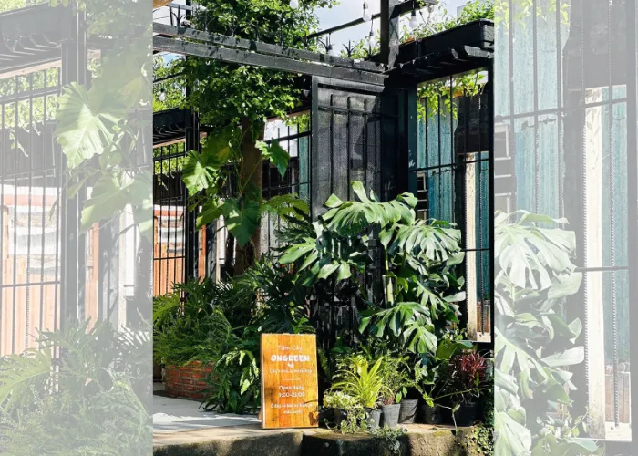 Trải Nghiệm Workshop Terrarium & Kokedama Ngay Tại Thủ Đức