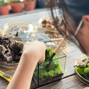 Trải Nghiệm Workshop Terrarium & Kokedama Ngay Tại Thủ Đức