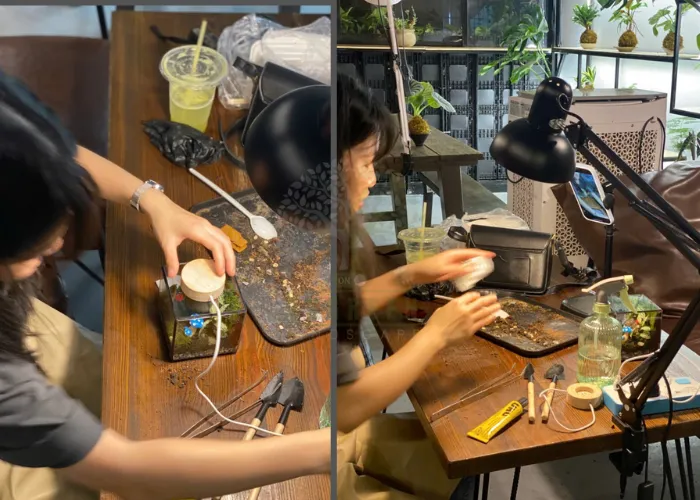 Workshop Terrarium tại Thủ Đức Và Trải nghiệm lần đầu tham gia