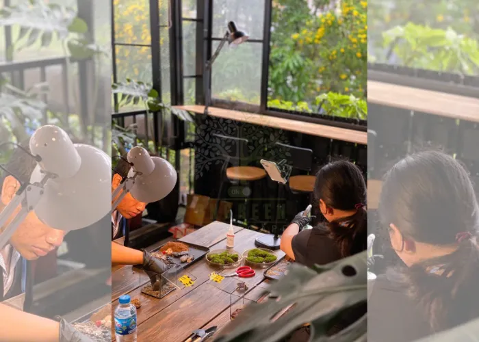Workshop Terrarium tại Thủ Đức Và Trải nghiệm lần đầu tham gia