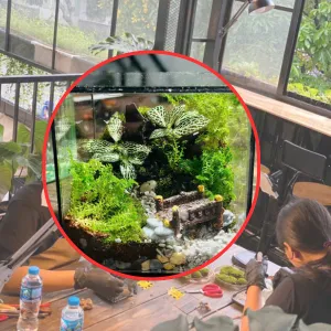 Workshop Terrarium tại Thủ Đức Và Trải nghiệm lần đầu tham gia