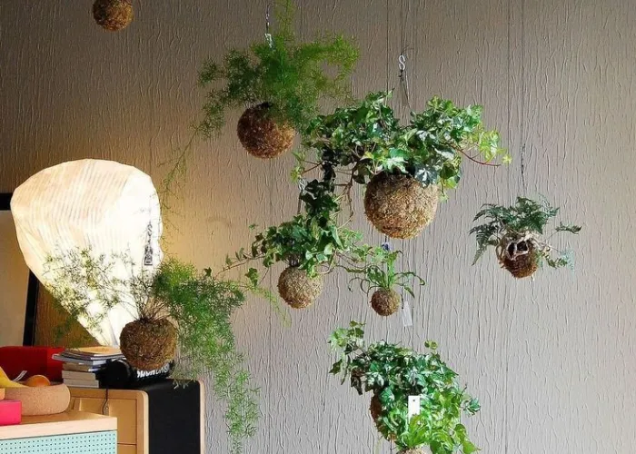 Workshop Kokedama: trải nghiệm làm cây bóng rêu để thư giãn tinh thần