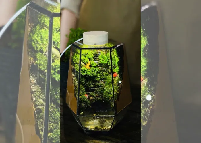 Hẹn Hò Cho Cặp Đôi – Workshop Terrarium, Sự Lựa Chọn Mới Mẻ 2025