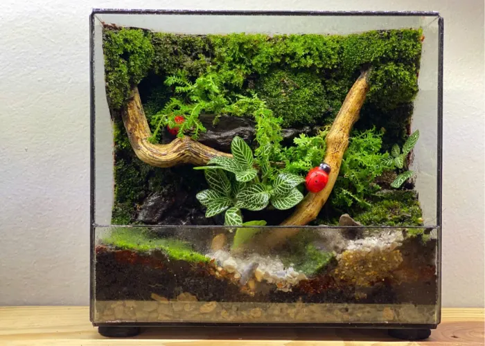 Hẹn Hò Cho Cặp Đôi – Workshop Terrarium, Sự Lựa Chọn Mới Mẻ 2025