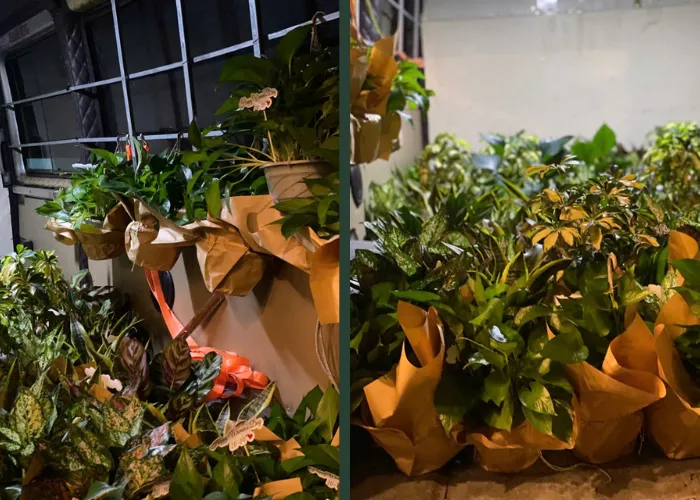 ONGREEN – địa chỉ làm chậu cây quà tặng uy tín tại Thủ Đức
