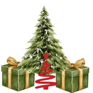 Cây Thông Thật Trang Trí Noel – Không Khí Giáng Sinh Tự Nhiên & Ấm Áp