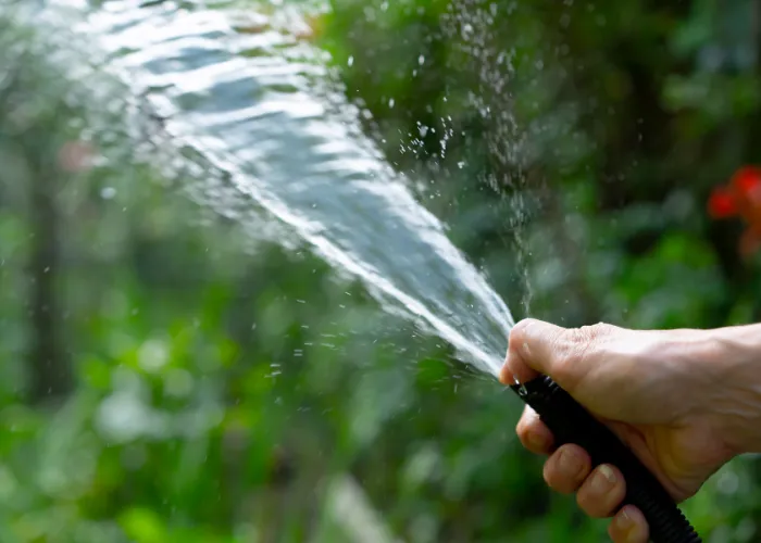 5 Việc Cần Làm Định Kỳ Chăm Sóc Cảnh Quan Để Cảnh Quan Luôn Đẹp
