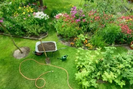 Dịch Vụ Chăm Sóc Cây Xanh Định Kỳ Tại Thủ Đức, Quận 9, Quận 2