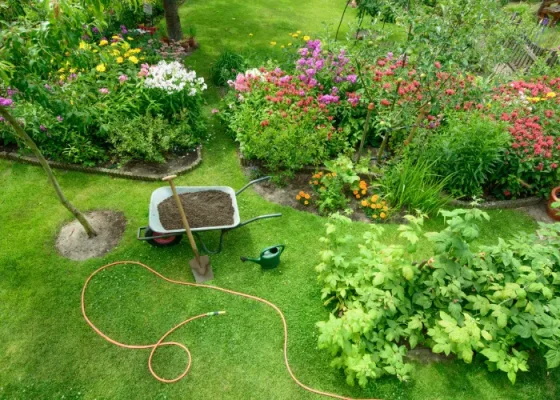Dịch Vụ Chăm Sóc Cây Xanh Định Kỳ Tại Thủ Đức, Quận 9, Quận 2