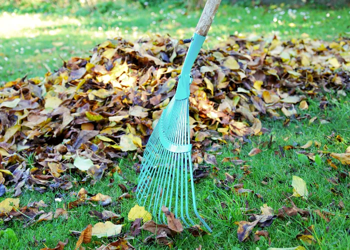 5 Việc Cần Làm Định Kỳ Chăm Sóc Cảnh Quan Để Cảnh Quan Luôn Đẹp