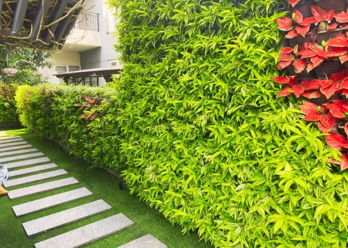 Dịch vụ thi công cảnh quan nhà phố phù hợp diện tích nhỏ – tối ưu chi phí