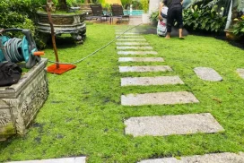3 Loại Thảm Cỏ Cho Sân Vườn Nắng Nhiều