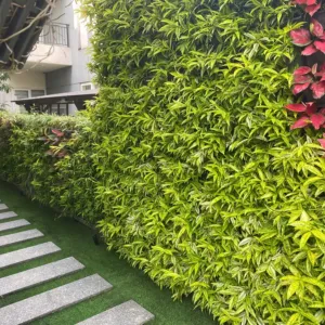Dịch vụ thi công cảnh quan nhà phố phù hợp diện tích nhỏ – tối ưu chi phí