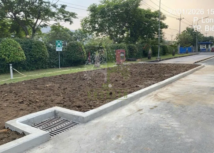 Thi Công San Lấp Và Trồng Cỏ Lá Gừng Tại Nhà Máy ESSONS