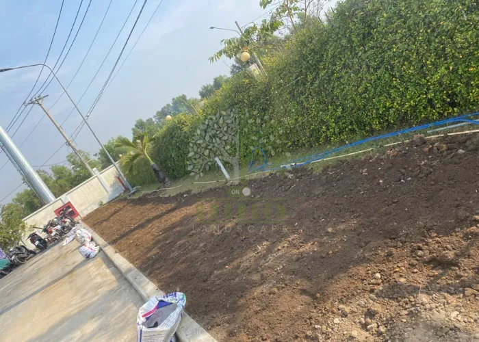 Thi Công San Lấp Và Trồng Cỏ Lá Gừng Tại Nhà Máy ESSONS