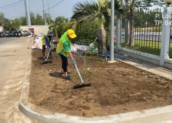 Cách Trồng Cỏ Trên Nền Đất Cũ
