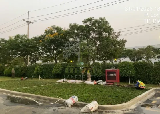3 Nguyên Nhân Cỏ Bị Vàng Loang Lổ