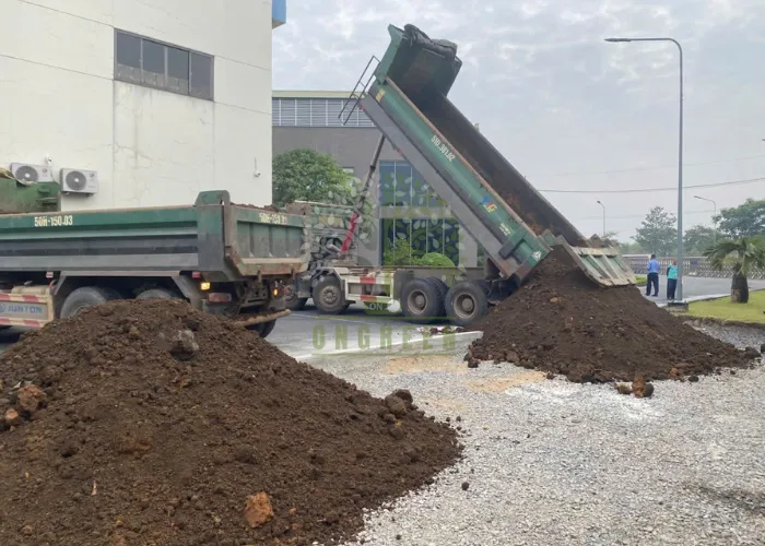 Thi Công San Lấp Và Trồng Cỏ Lá Gừng Tại Nhà Máy ESSONS