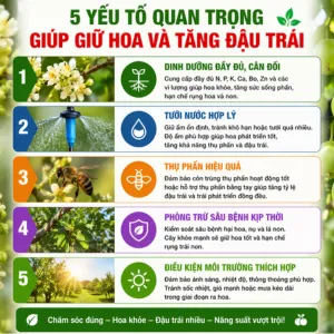 5 yếu tố quan trọng giúp giữ hoa và tăng đậu trái