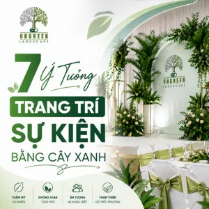 7 Ý Tưởng Trang Trí Sự Kiện Bằng Cây Xanh Đẹp – Đơn Giản – Dễ Áp Dụng 2026