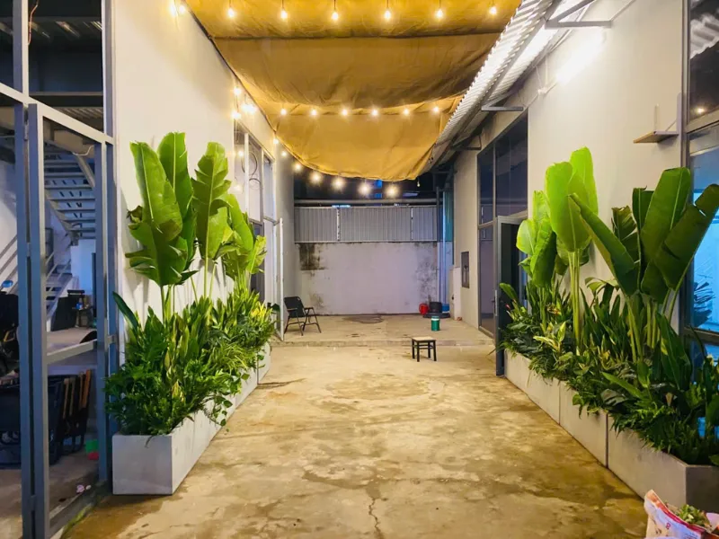 Cải tạo cây xanh văn phòng trụ sở G-EMPRISE chi nhánh Hồ Chí Minh