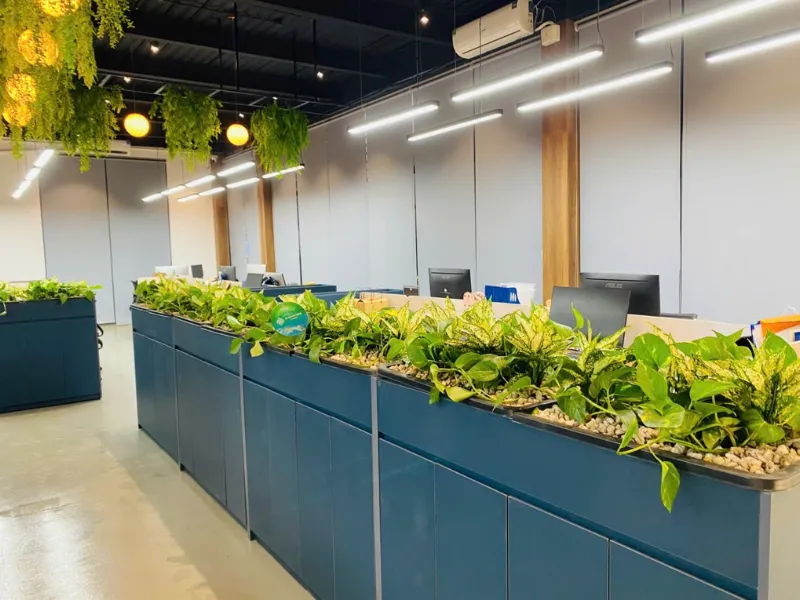 Cải tạo cây xanh văn phòng trụ sở G-EMPRISE chi nhánh Hồ Chí Minh