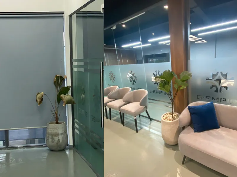 Cải tạo cây xanh văn phòng trụ sở G-EMPRISE chi nhánh Hồ Chí Minh