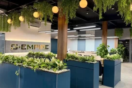 Cải Tạo Cây Xanh Văn Phòng Ở Thủ Đức – Giải Pháp Làm Mới Không Gian, Tăng Hiệu Suất Làm Việc