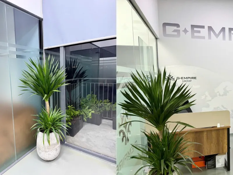 Cải tạo cây xanh văn phòng trụ sở G-EMPRISE chi nhánh Hồ Chí Minh