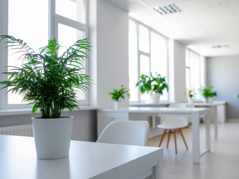 Cây Xanh Văn Phòng Bị Héo, Chết? Đây Là Cách Cải Tạo Hiệu Quả Nhất