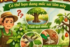 Trồng cây không ra trái? Có thể bạn đang mắc sai lầm này