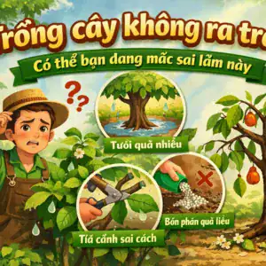 Trồng cây không ra trái? Có thể bạn đang mắc sai lầm này