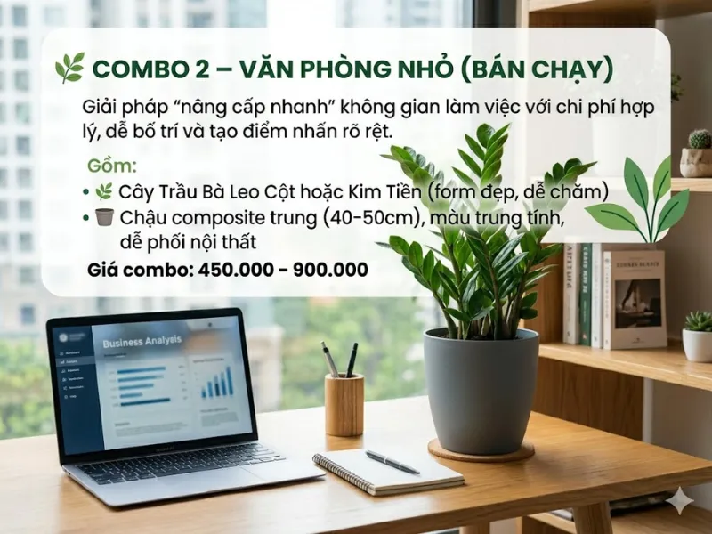 4 Combo Cây + Chậu Composite Giá Tốt Cho Văn Phòng, Bảng Giá 2026