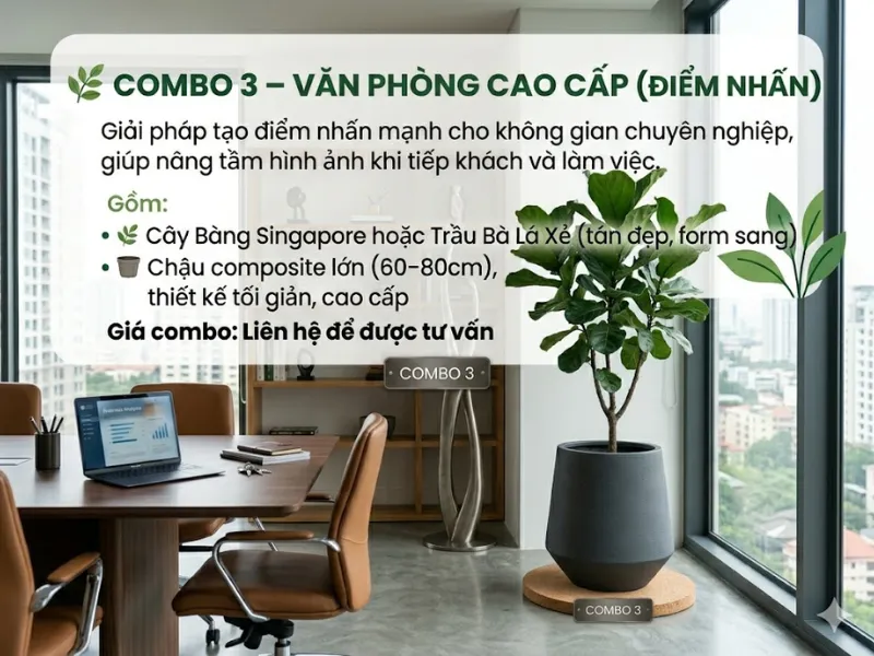 4 Combo Cây + Chậu Composite Giá Tốt Cho Văn Phòng, Bảng Giá 2026