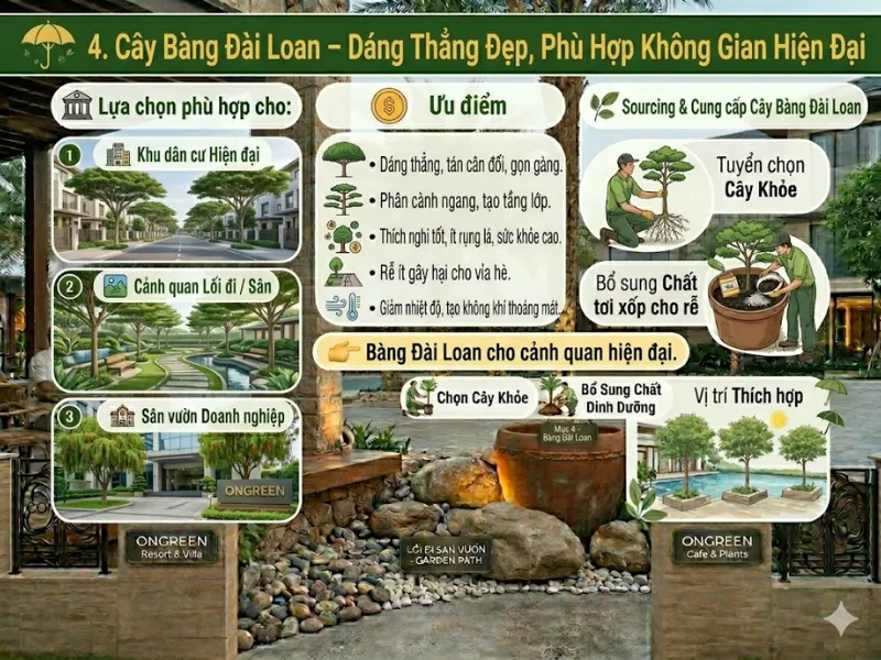 5 Loại Cây Bóng Mát Nhanh Lớn Được Ưa Chuộng