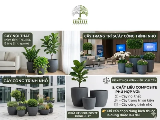 So Sánh Chậu Composite Và Chậu Xi Măng – Nên Chọn Loại Nào Cho Cây Xanh?