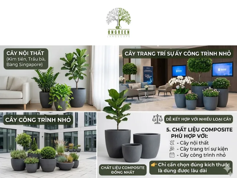 5 Lý Do Nên Chọn Chậu Composite Trồng Cây Cho Không Gian Hiện Đại