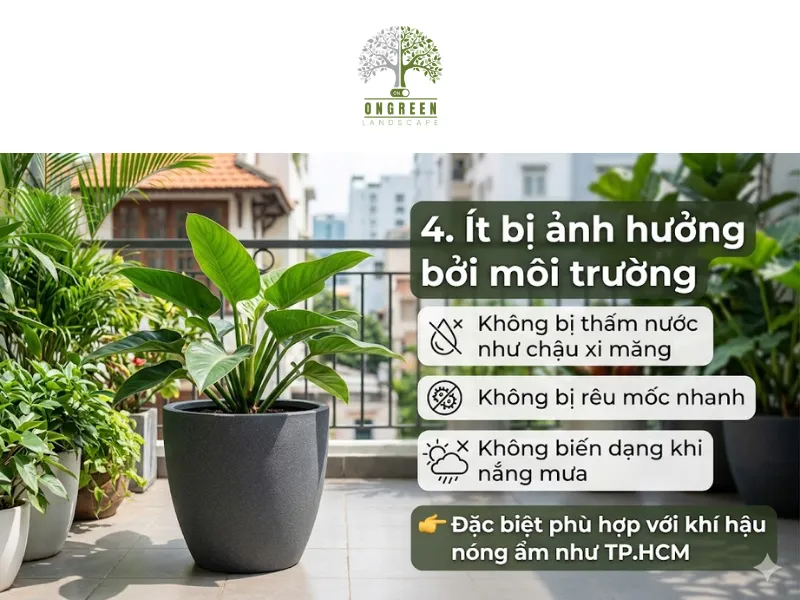 5 Lý Do Nên Chọn Chậu Composite Trồng Cây Cho Không Gian Hiện Đại
