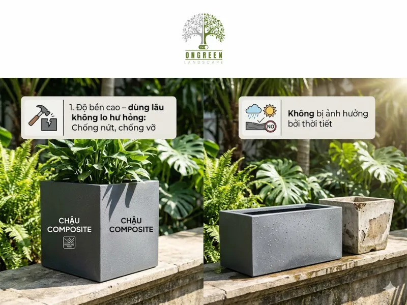 5 Lý Do Nên Chọn Chậu Composite Trồng Cây Cho Không Gian Hiện Đại