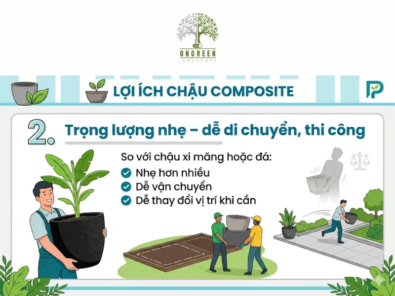 5 Lý Do Nên Chọn Chậu Composite Trồng Cây Cho Không Gian Hiện Đại