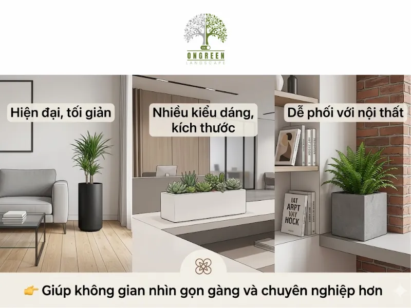 5 Lý Do Nên Chọn Chậu Composite Trồng Cây Cho Không Gian Hiện Đại